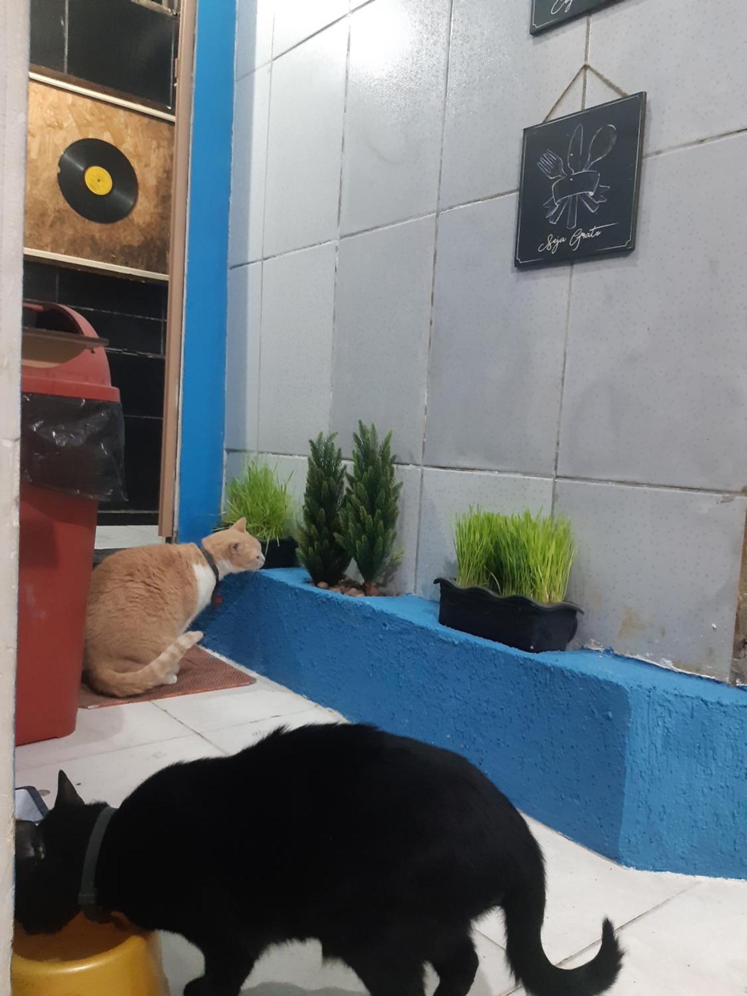 Sapucali Privative Hostel Rio de Janeiro Eksteriør bilde